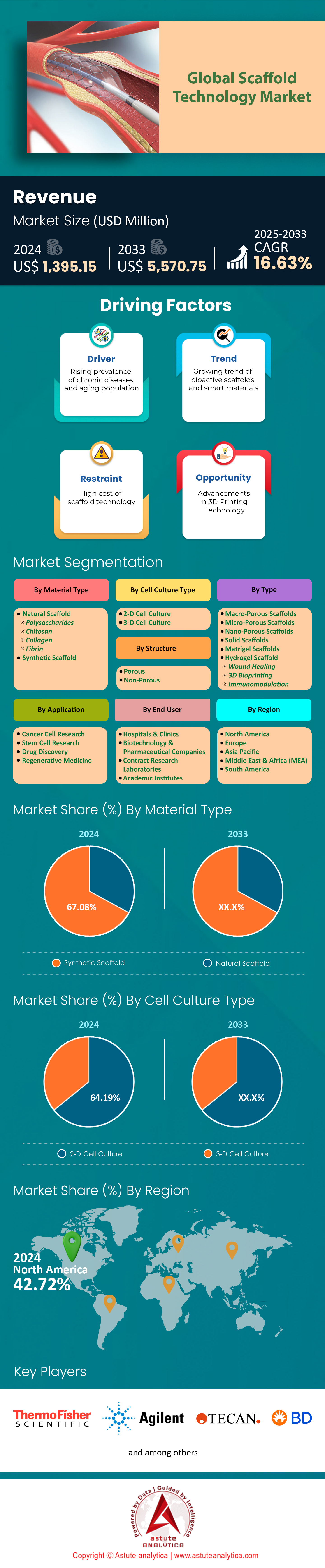 Marché de la technologie d’échafaudage